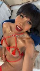 Shemale-MORENATX-5843329 